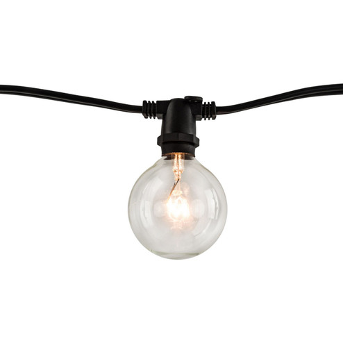 String String Light in Black (427|810054)