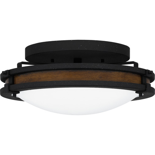 Quoizel Flush Mount Three Light Flush Mount in Natural Iron (10|QFL5610NI)
