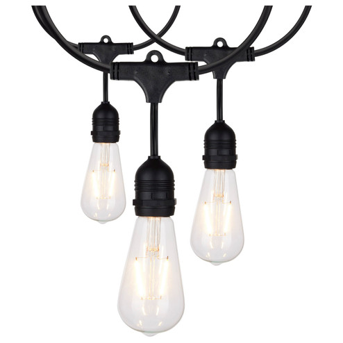 LED String Light in Black (230|S8036)