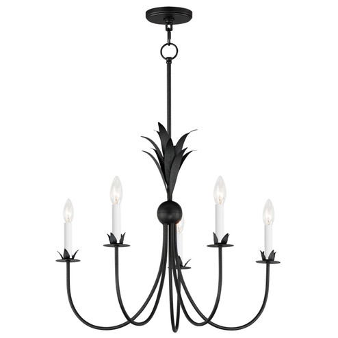 Paloma Five Light Chandelier in Anthracite (16|2885AR)