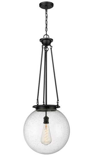 Essex One Light Pendant in Matte Black (405|221-1P-BK-G204-16)