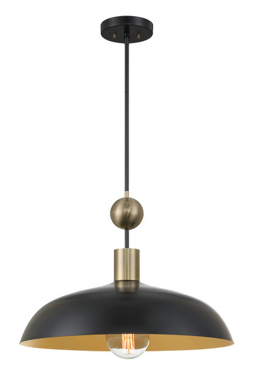 BILOXI One Light Pendant in Coal (7|1996-862)