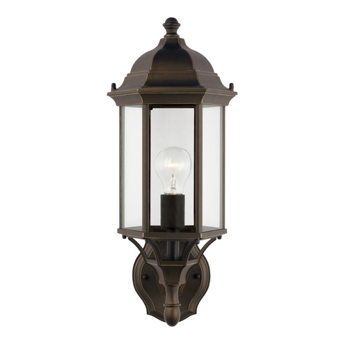 Sevier One Light Outdoor Wall Lantern in Antique Bronze (1|8838701-71)