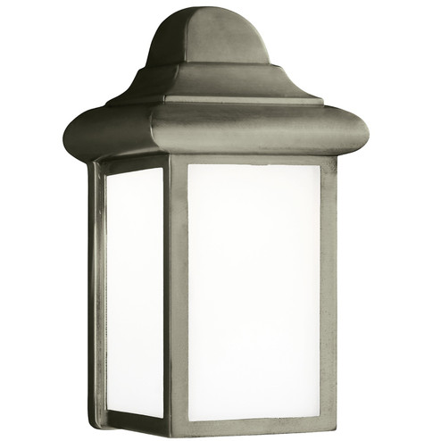 Mullberry Hill One Light Outdoor Wall Lantern in Pewter (1|8788-155)