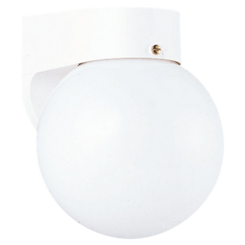 Outdoor Wall One Light Outdoor Wall Lantern in White (1|8753-15)
