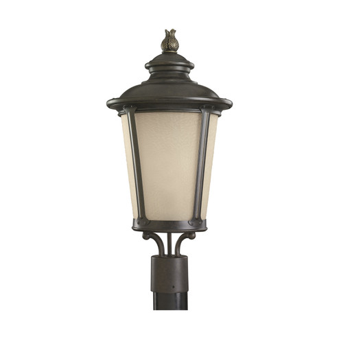 Cape May One Light Outdoor Post Lantern in Burled Iron (1|82240-780)
