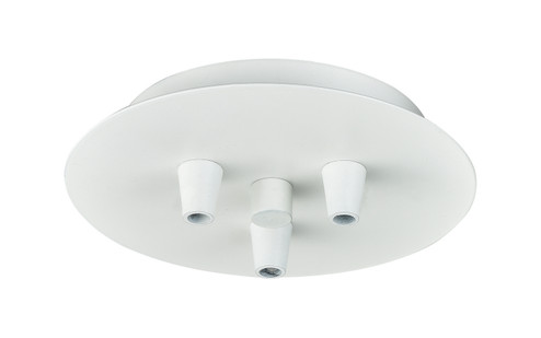 Custom Cord Multi Port Canopy in Polished Nickel (405|103-PN)