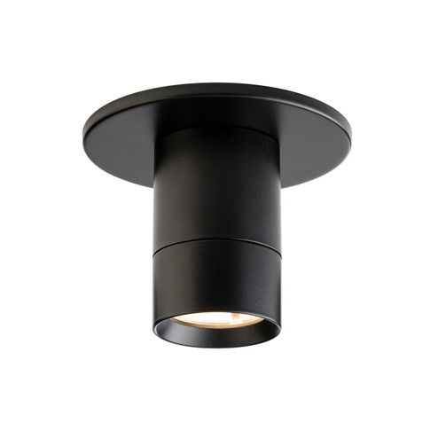 Twist-N-Lite LED Flush Mount in Black (34|FM-240103-CS-BK)