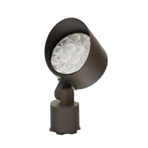 Colorscaping LED Landscape Accent Light in Black on Aluminum (34|5813-CSBK)