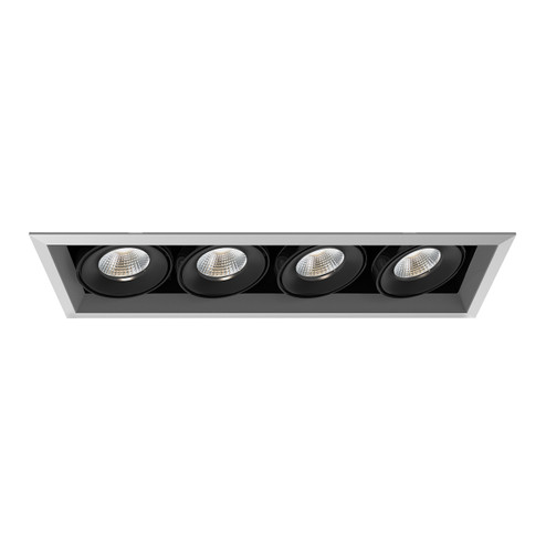 TE SERIES MULT,26W,TRM,4LT,30K,PT/BLK in Platinum (40|TE134ALED-30-4-0N)