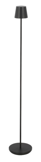 Nevis LED Floor Lamp in Black (182|SLFL53527B)