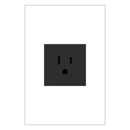 adorne 15A Single Tamper-Resistant Outlet in Graphite (246|ARTR151G10)