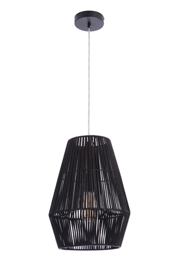 Pendant One Light Pendant in Flat Black (46|P2009-FB)