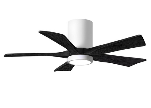 Irene-5HLK 42'' Ceiling Fan in Gloss White (101|IR5HLK-WH-BK-42)