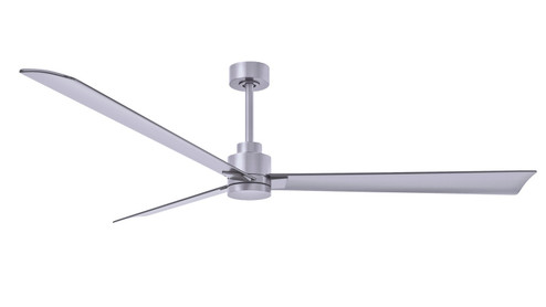 Alessandra 72'' Ceiling Fan in Brushed Nickel (101|AK-BN-BN-72)