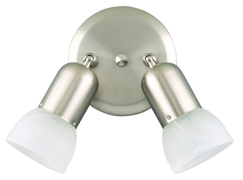 Jasper Two Light Track Lighting in Brushed Pewter (387|ICW9251)