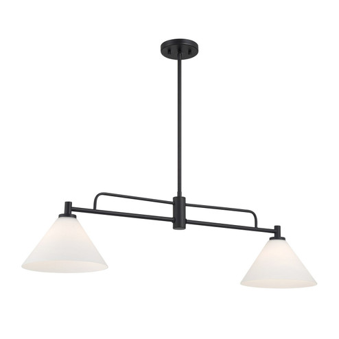 Two Light Linear Chandelier in Matte Black (446|M100136MBK)