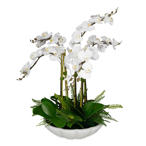 Flourish Orchid Centerpiece in White (52|60239)