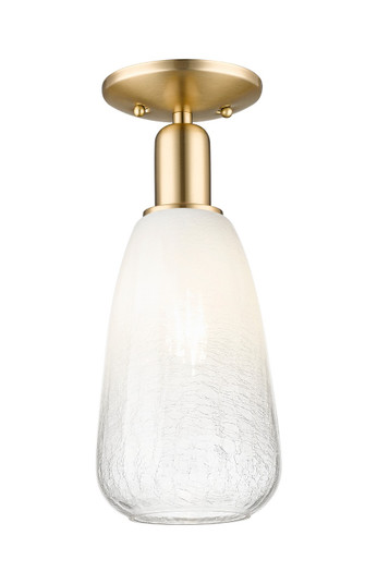 Arcadia One Light Semi-Flush Mount in Champagne Bronze (405|716-1C-CB-G480-6OP)