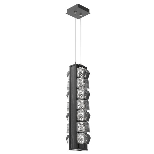 Tessera LED Pendant in Matte Black (404|LAB0100-24-MB-TF-CA1-L1-W02)