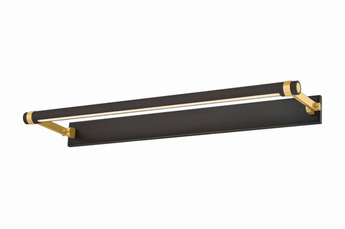 Duell LED Picture Light in Aged Brass (70|7330-AGB/DB)