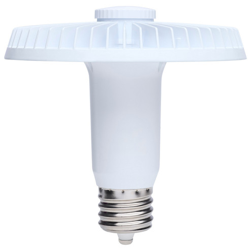 Light Bulb in Clear (230|S13149)