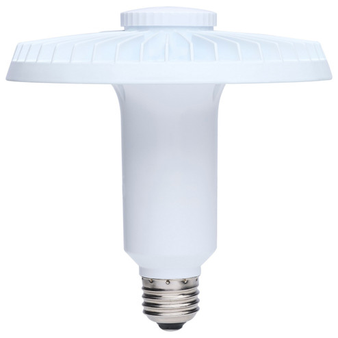 Light Bulb in Clear (230|S13148)