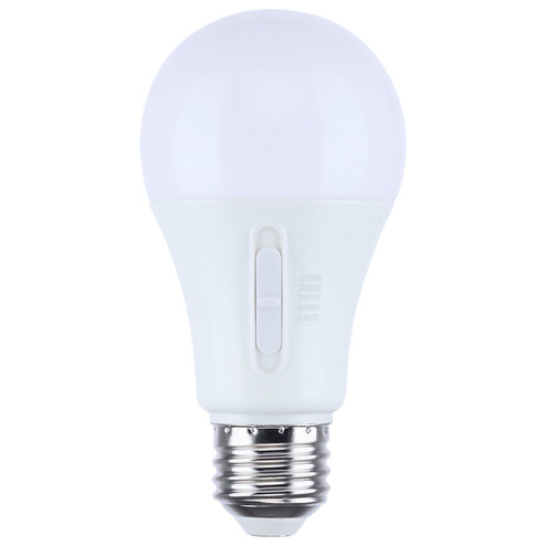 Light Bulb in Frost (230|S12147)