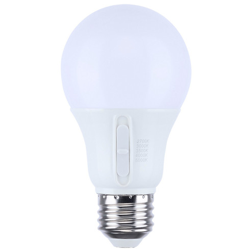 Light Bulb in Frost (230|S12145)