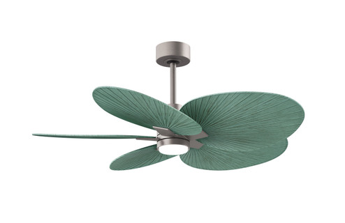 Alessandra Tropical - LK Five Blade Ceiling Fan in Brushed Nickel (101|AKTPLK-BN-PL)