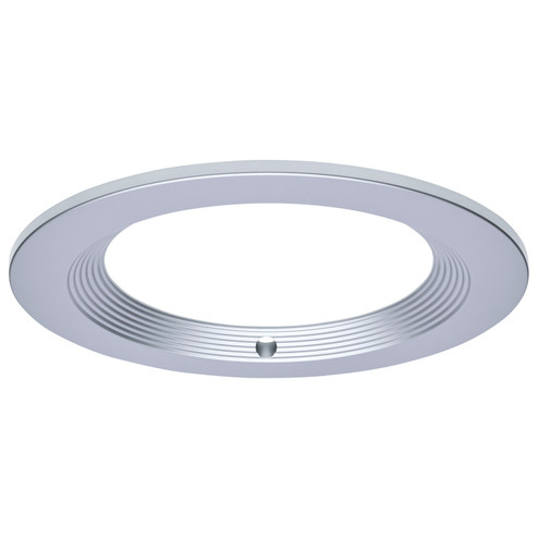 Trim in Silver (72|S21685)