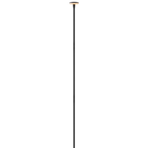Calie LED Path Light in Black (13|15695BK)