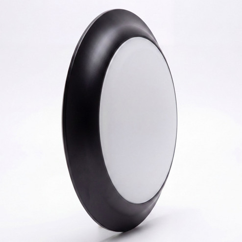 Light Bulb in Black (427|773293)