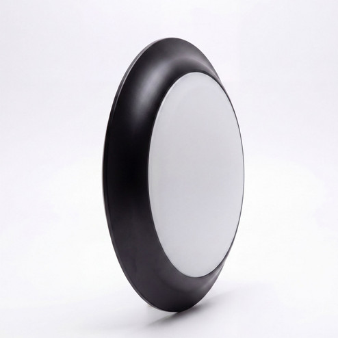 Light Bulb in Black (427|773290)