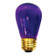 Indicator, Light Bulb in Transparent Purple (427|701511)
