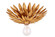 Broche One Light Wall Sconce in Antique Gold (60|500-GA)