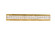 Monroe LED Wall Sconce in Gold (173|3502W32G)