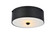 Hazen Two light Flush Mount in flat black (173|LD6024)