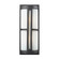 Trevot Two Light Outdoor Wall Sconce in Graphite (45|42396/2)