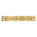 Ryder LED Vanity in Gold (40|37071-028)