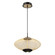 Park LED Pendant in Matte Black (40|37106-010)