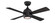 Kwad 44 44'' Ceiling Fan in Black (26|FP7644BL)