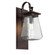 Outdoor Lighting One Light Wall Sconce in Statuary Bronze (404|ODB0043-AC-SB-C-E2)