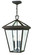 Alford Place LED Hanging Lantern in Oil Rubbed Bronze (13|2562OZ-LL)