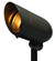 Accent Spot Light LED Landscape Spot in Bronze (13|54000BZ)