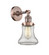 Franklin Restoration One Light Wall Sconce in Antique Copper (405|203-AC-G192)