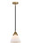 Nouveau 2 LED Mini Pendant in Black Antique Brass (405|288-1S-BAB-G41-LED)