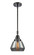 Caden One Light Mini Pendant in Matte Black (405|447-1S-BK-G173)