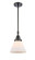 Caden One Light Mini Pendant in Matte Black (405|447-1S-BK-G41)