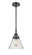 Caden One Light Mini Pendant in Oil Rubbed Bronze (405|447-1S-OB-G44)